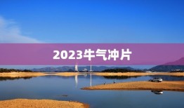 2023牛气冲片，如何参加抖音牛气冲天2023活动？