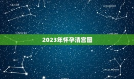 2023年怀孕清宫图，清宫图2023年生男生女表怎么算