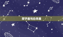 双子座对什么星座最配(星座配对大介绍)