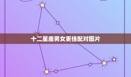 十二星座男女更佳配对图片，十二星座夫妻统计表