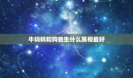 牛妈妈和狗爸生什么属相最好，狗爸爸和牛妈妈要什么属相的宝宝好