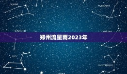 郑州流星雨2023年，2023 年的流星雨