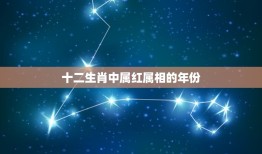 十二生肖中属红属相的年份，本命年是什么意思啊？