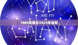 1985年属牛2023年运势，1985年属牛女2023年本命年运势