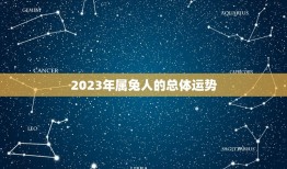 2023虎年属兔运势(兔子们的幸运之年)