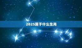 2025属于什么生肖(探寻十二生肖中的幸运者)