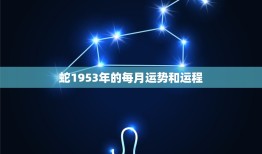 蛇1953年的每月运势和运程