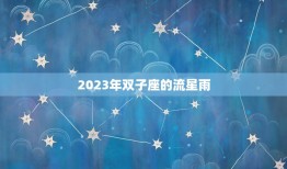 2023年双子座的流星雨，巨蟹座流星雨几年一次