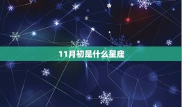 11月初是什么星座，2023 年11月黄道吉日一览表