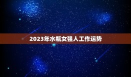 2023年水瓶女强人工作运势