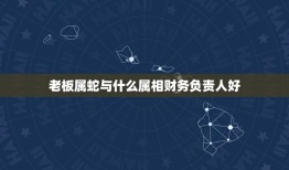 老板属蛇与什么属相财务负责人好，属鸡的找什么属相人合伙做生意最好