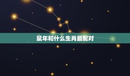 鼠年和什么生肖最配对(介绍十二生肖搭档)