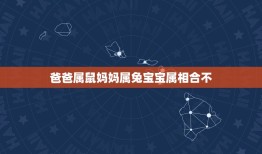 爸爸属鼠妈妈属兔宝宝属相合不，我的爸爸作文怎么写