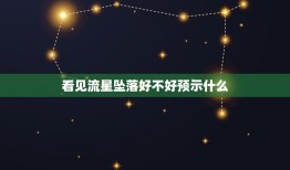 看见流星坠落好不好预示什么，无意中看到流星代表什么