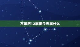 万年历12属相今天属什么，万年历今天属什么生肖