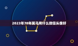 2023年78年属马用什么微信头像好，属马1978年8月16用什么微信