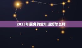 2023年属兔的全年运势怎么样(幸运之年事业顺风顺水)