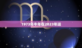 1973年牛年在2023年运，73年的牛男2023年的全程运势