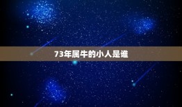 73年属牛的小人是谁，1973年属牛是什么命