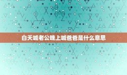 白天喊老公晚上喊爸爸是什么意思，新人想问下白天喊老公，晚上喊爸爸是什么