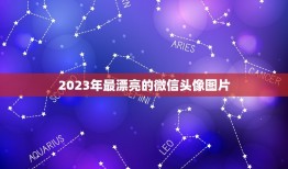 2023年最漂亮的微信头像图片，什么图片适合做微信头像