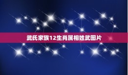 武氏家族12生肖属相姓武图片，姓武的是武则天的后代吗？