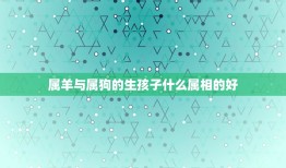 属羊与属狗的生孩子什么属相的好，我属狗老公属羊，我们生个什么属相的宝宝