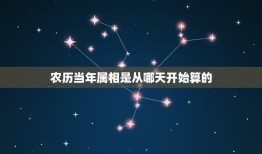 农历当年属相是从哪天开始算的，属相是按农历还是按阳历？