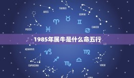 1985年属牛是什么命五行，85年属牛五行什么命