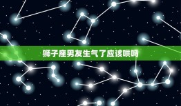 狮子座男友生气了应该哄吗，狮子座男主动认错哄你