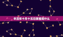 辛丑年十月十五日属相是什么，2023年辛丑年五行属什么