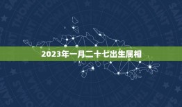 2023年一月二十七出生属相，一九六零年一月二十七日出生人的属相