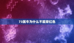 73属牛为什么不能穿红色，1973属牛女今天穿什么颜色招财下午打麻将坐