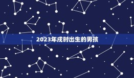 2023年戌时出生的男孩