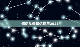 情侣头像情侣专用2023，对应的情侣头像