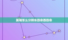 属相怎么分辨东四命西四命，东四命西四命怎样算