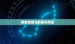 属鼠跟属马的合不合财(介绍财运合不合)