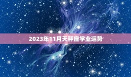 2023年11月天秤座学业运势，2023 年射手座必遭劫难