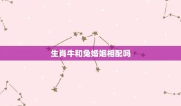 生肖牛和兔婚姻相配吗(介绍兔和牛的婚姻是否合适)