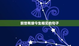 前世有缘今生相见的句子，星聚里约最动人的经典句子