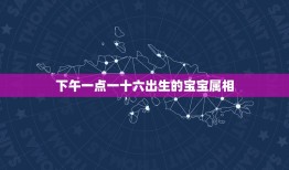 下午一点一十六出生的宝宝属相，农历2011年1月12日下午16点16分