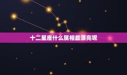 十二星座什么属相最漂亮呢，12星座里长的最漂亮的星座？ 12星座是属于