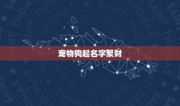 宠物狗起名字聚财，公的宠物狗取什么名字好听