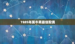 1985年属牛男最佳配偶，85年属牛的最佳配偶提问