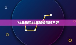 78年马和84年鼠婚配好不好，1978年属马与1984年属鼠的2010