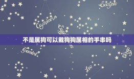 不是属狗可以戴狗狗属相的手串吗，属狗的佩带什么手链