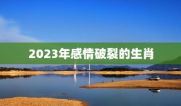 2023年感情破裂的生肖，2023年12生肖运势解析