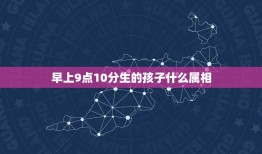 早上9点10分生的孩子什么属相，上午十点半属于什么时辰