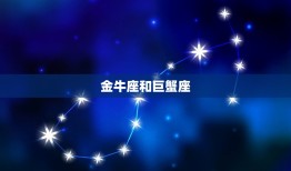 十二星座注定离不开谁(星座配对大介绍)