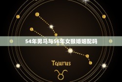 54年男马与56年女猴婚姻配吗(星座专家介绍这样的组合会有怎样的婚姻生活)